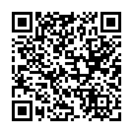 QR code for ZZ0392