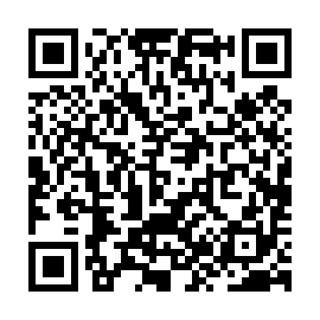 QR code for ZZ0490