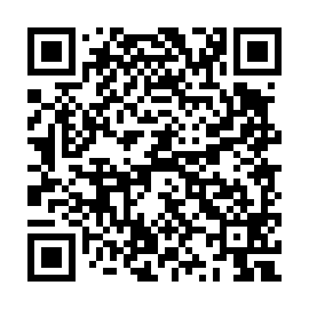 QR code for ZZ0499