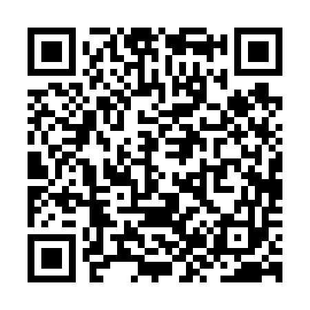 QR code for ZZ0653
