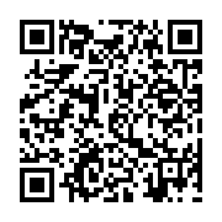 QR code for ZZ0955