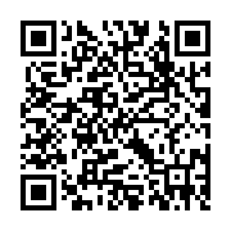 QR code for ZZ1196