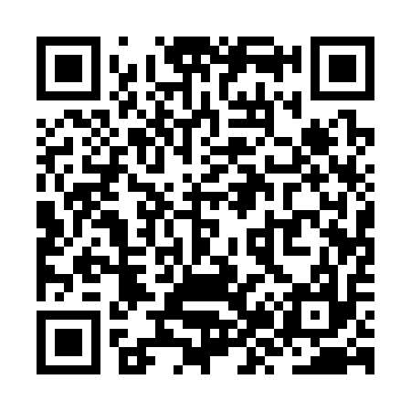 QR code for ZZ1317