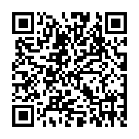 QR code for ZZ2008