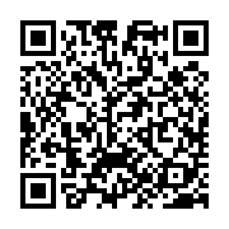 QR code for ZZ2509