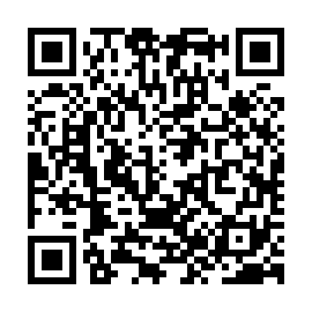 QR code for ZZ2871