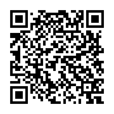 QR code for ZZ2933
