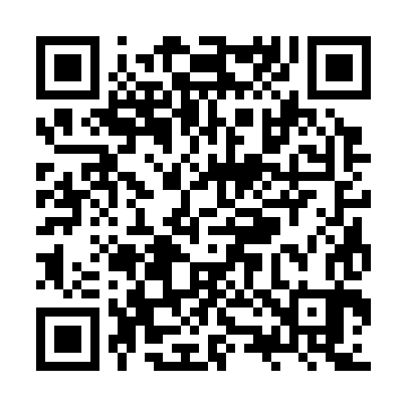 QR code for ZZ3383