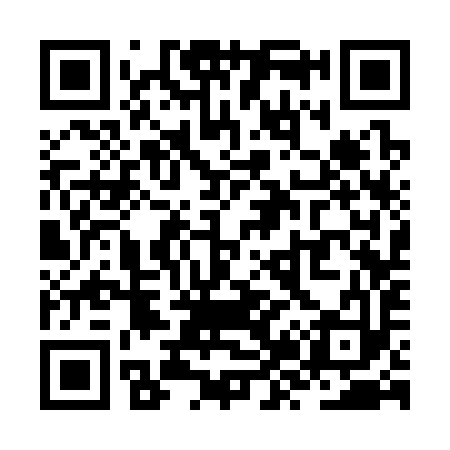 QR code for ZZ3393