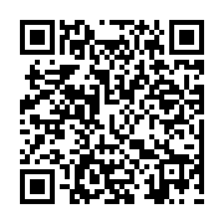 QR code for ZZ3828
