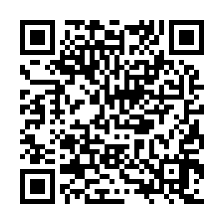 QR code for ZZ3917