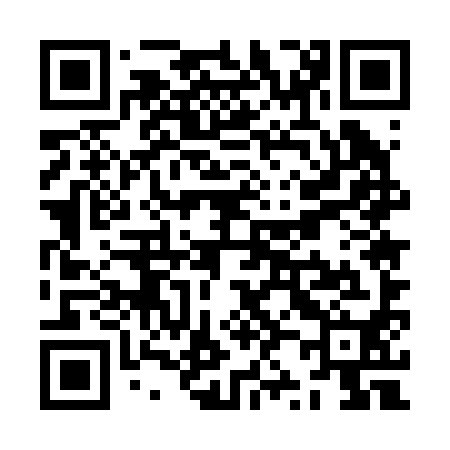 QR code for ZZ5290