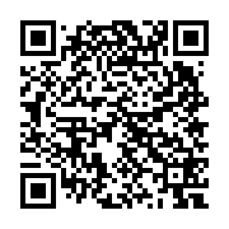 QR code for ZZ5668