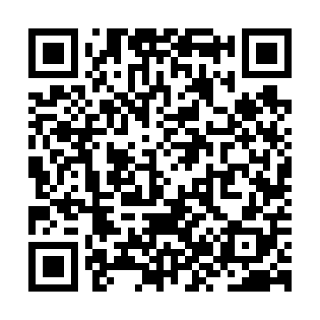 QR code for ZZ6608