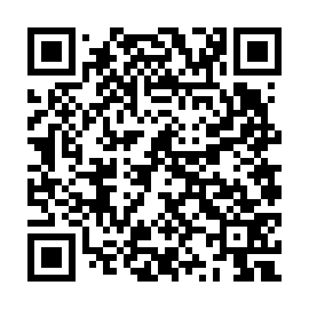 QR code for ZZ6673