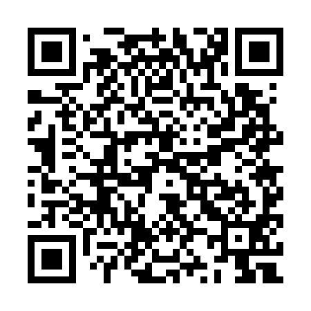 QR code for ZZ7791