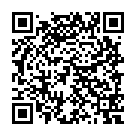 QR code for ZZ8198