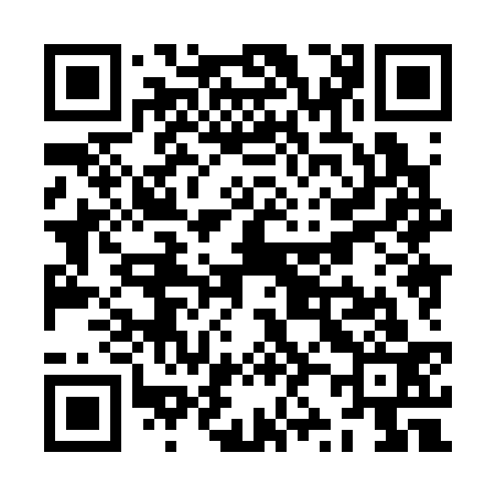 QR code for ZZ8333