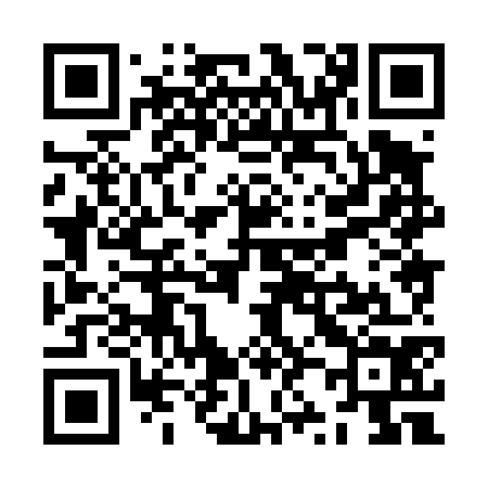 QR code for ZZ8474