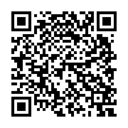 QR code for ZZ8603