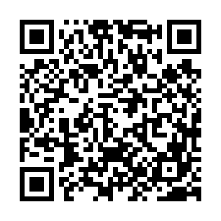 QR code for ZZ8666