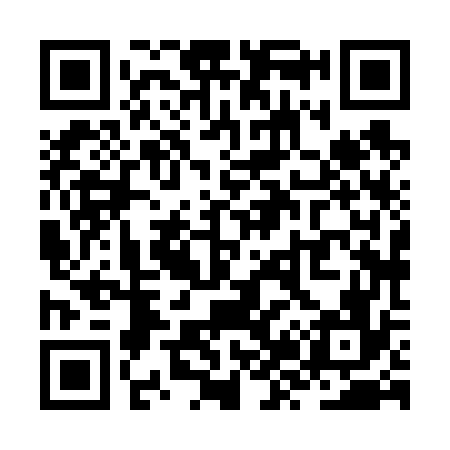QR code for ZZ8676
