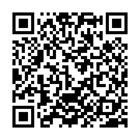 QR code for ZZ9029