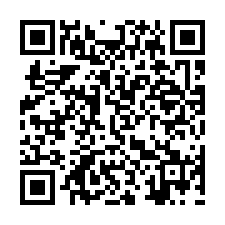 QR code for ZZ9161