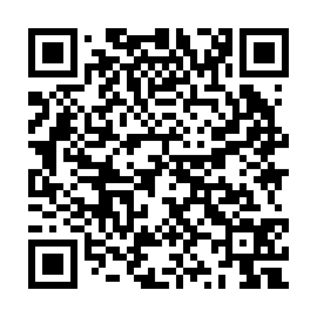 QR code for ZZ9234