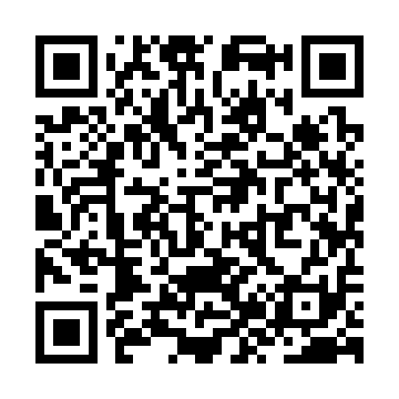 QR code for ZZ9311