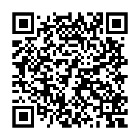 QR code for ZZ9509