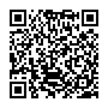 QR code for ZZ9595
