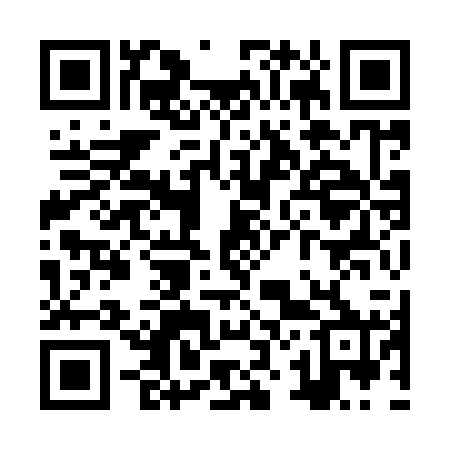 QR code for ZZ9920