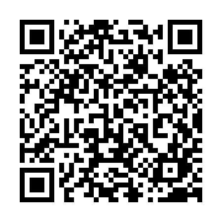 QR code for 013PPL