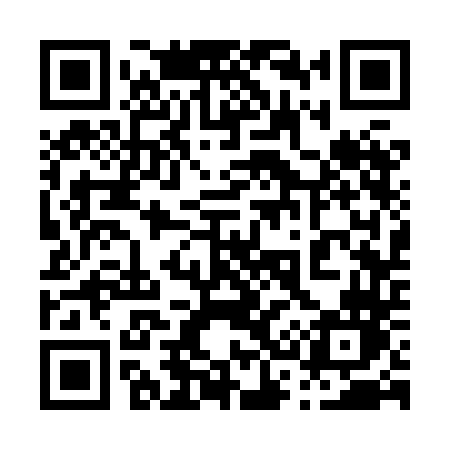QR code for 0338DN