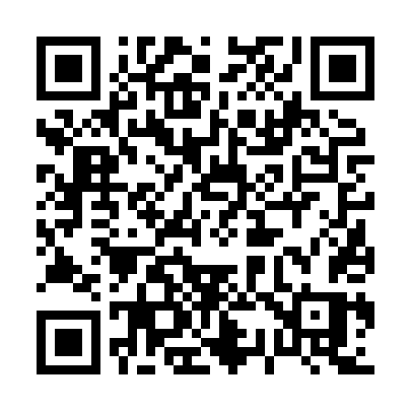 QR code for 0368TS