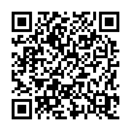 QR code for 03838G