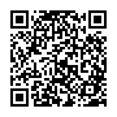QR code for 038HLO