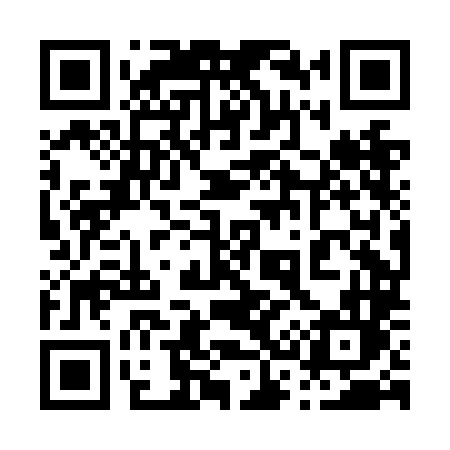QR code for 038NLL