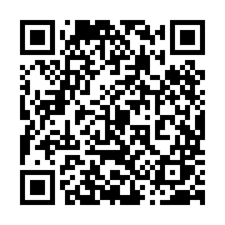 QR code for 038PMS