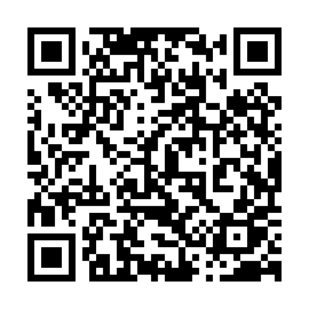 QR code for 038PPP