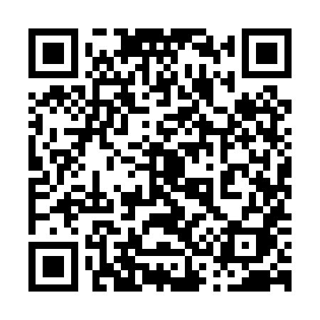 QR code for 0390XI