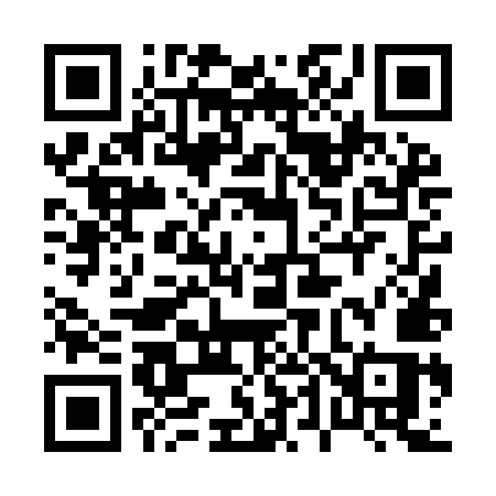 QR code for 0449MS