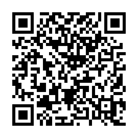 QR code for 0510QI