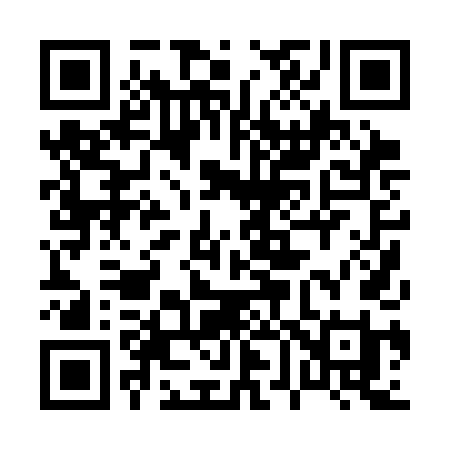 QR code for 0603DI