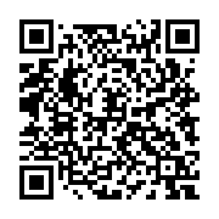 QR code for 0641SS