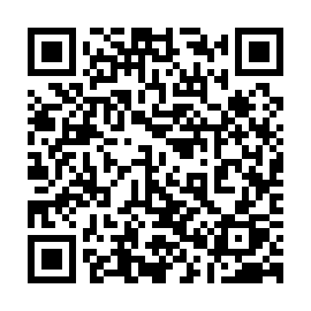 QR code for 10313P
