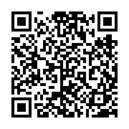 QR code for 110FIS