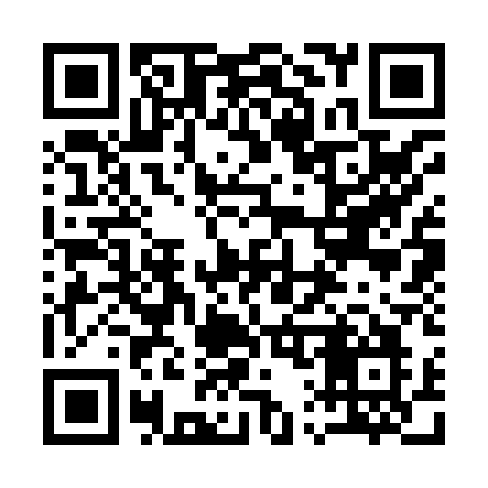 QR code for 11381O