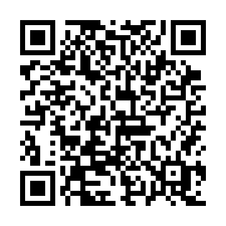QR code for 119SGD